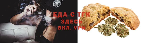 индика Мегион