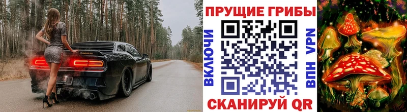 Галлюциногенные грибы Cubensis  Купить закладки  Дальнегорск 